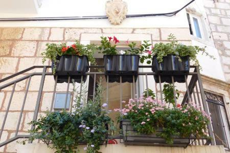 Apartment Punat Korčula Eksteriør bilde